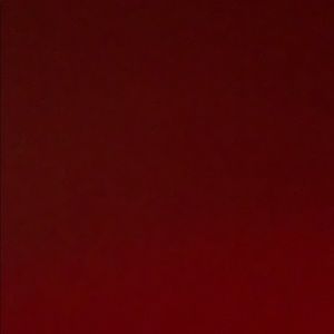 Meet your Posher, Charlotte